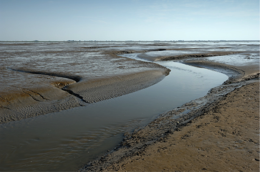 OndersteunendWaterdeel, slik